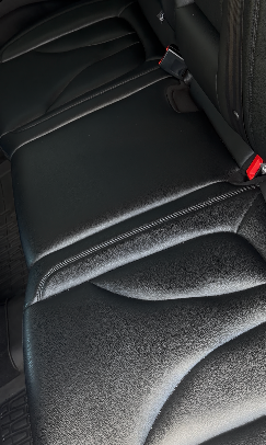 Shampooed rear seats